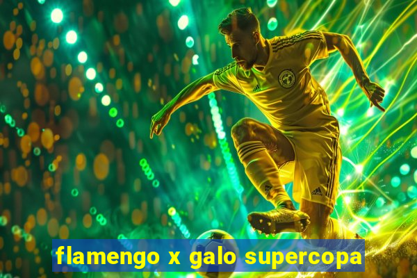 flamengo x galo supercopa